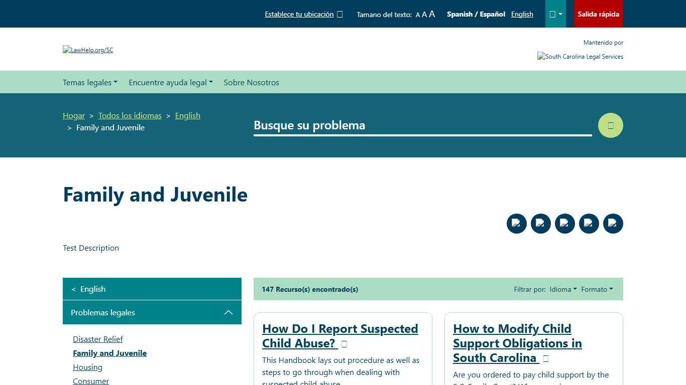 Family and Juvenile - English South Carolina